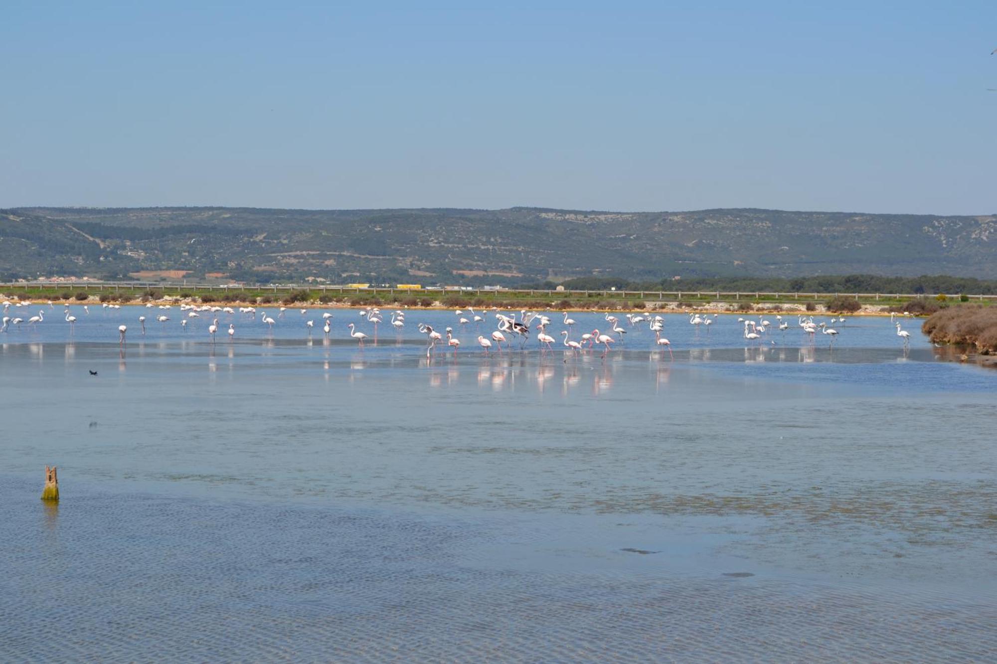 L'Aigrette Bleue Frontignan Exterior foto